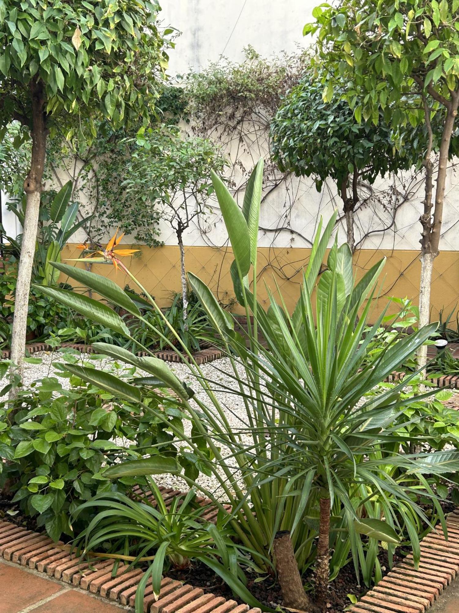 Apartamento At Alcantara Córdoba