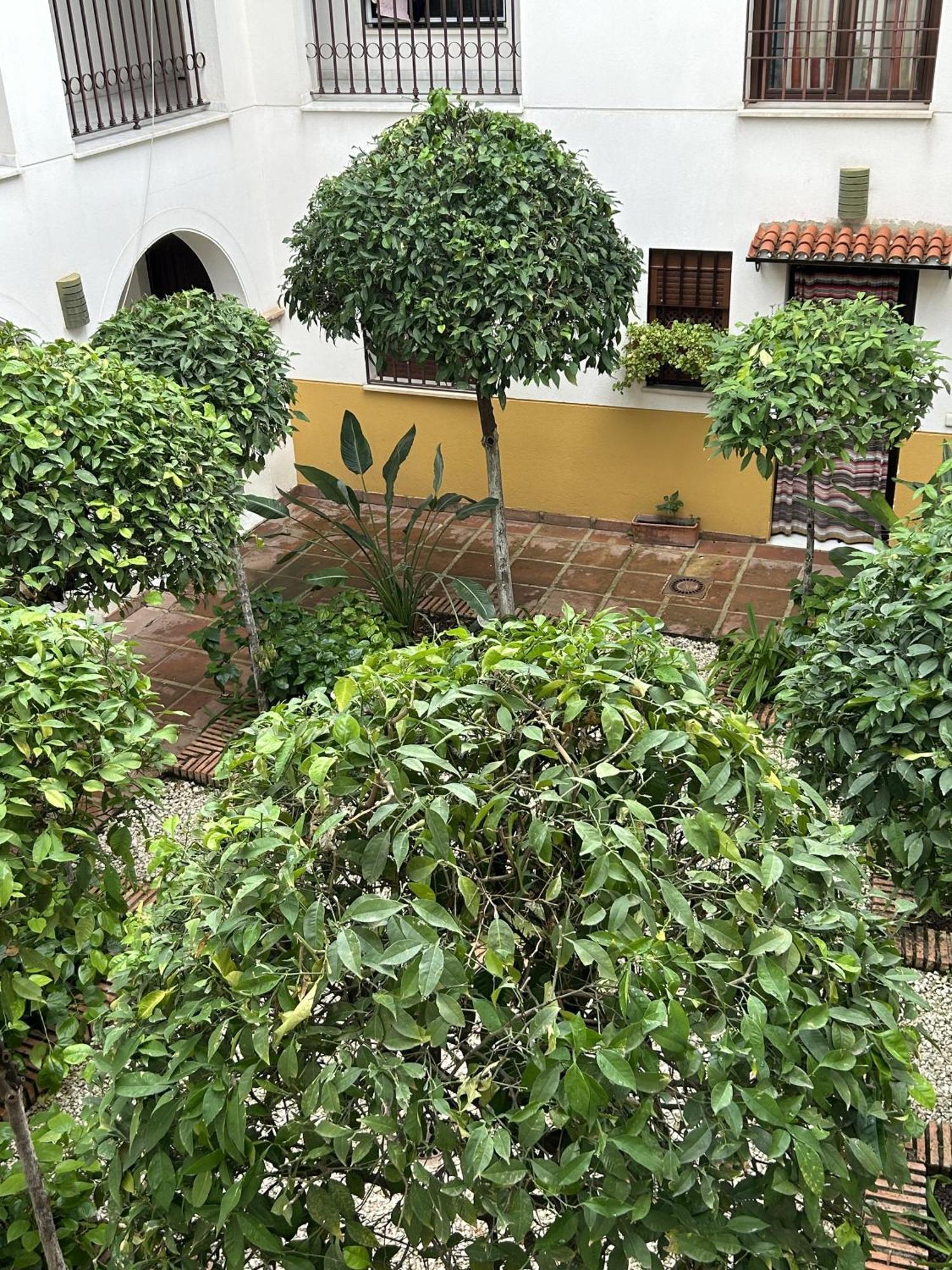 At Alcantara Apartamento